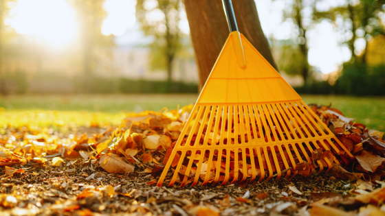October Landscaping Tasks to Keep Your Yard Looking Great | Howard Hanna Coach Realtors